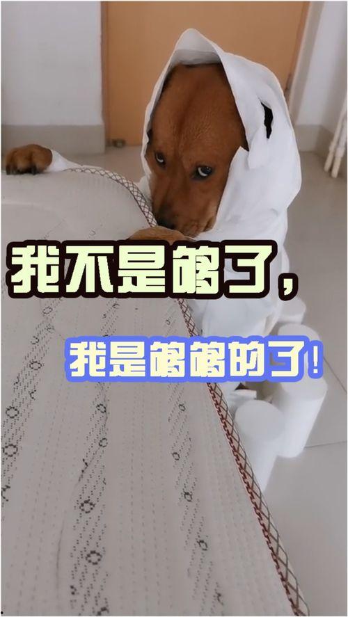 够了！,够了！揭秘过度消费的真相与应对策略